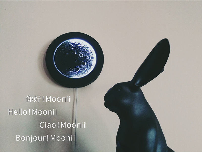 Moonii800_14.jpg