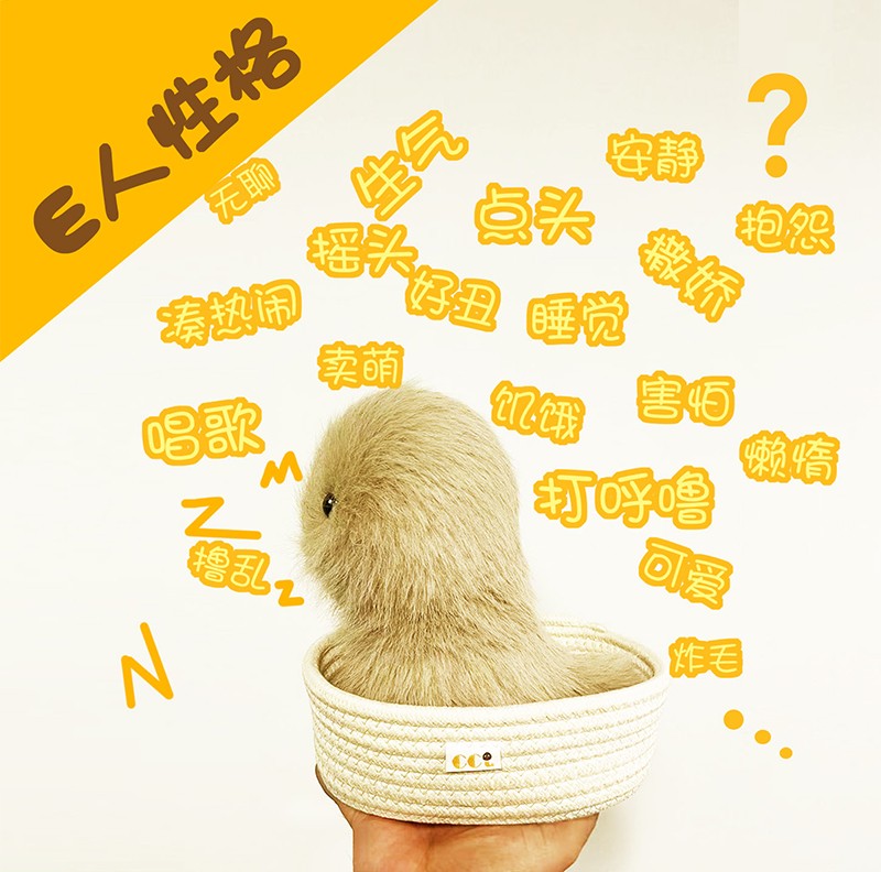 卡卡噜_04.jpg